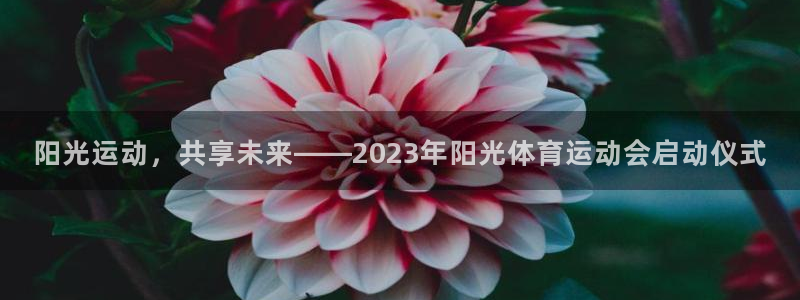 制胜体育官网app下载：阳光运动，共享未来——2023年阳光体育运动会启动仪式