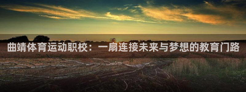制胜体育App下载：曲靖体育运动职校：一扇连接未来与梦想的教育门路