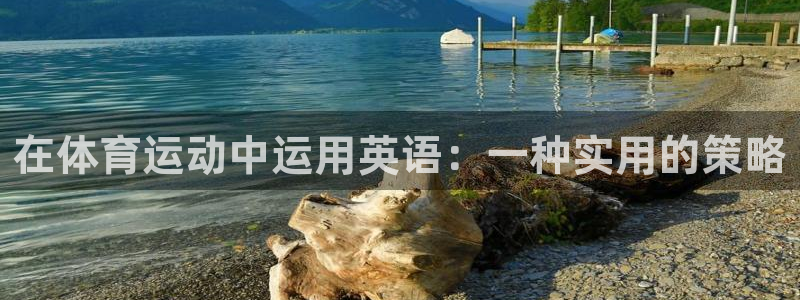 制胜体育软件：在体育运动中运用英语：一种实用的策略