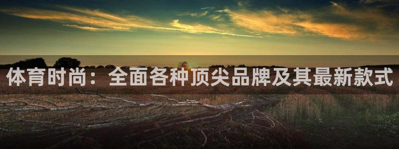 制胜体育在线直播观看：体育时尚：全面各种顶尖品牌及其最新款式