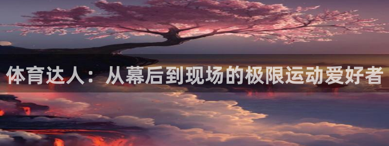制胜体育平台app下载：体育达人：从幕后到现场的极限运动爱好者