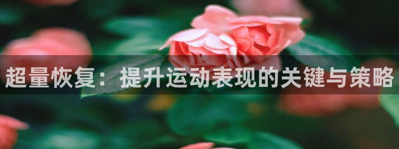 制胜体育：超量恢复：提升运动表现的关键与策略