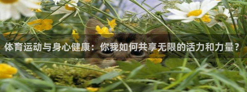 制胜体育为什么停播：体育运动与身心健康：你我如何共享无限的活力和力量？