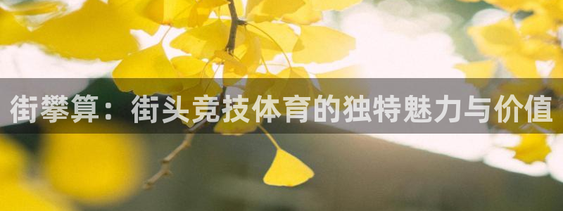 制胜体育电脑版在线观看：街攀算：街头竞技体育的独特魅力与价值