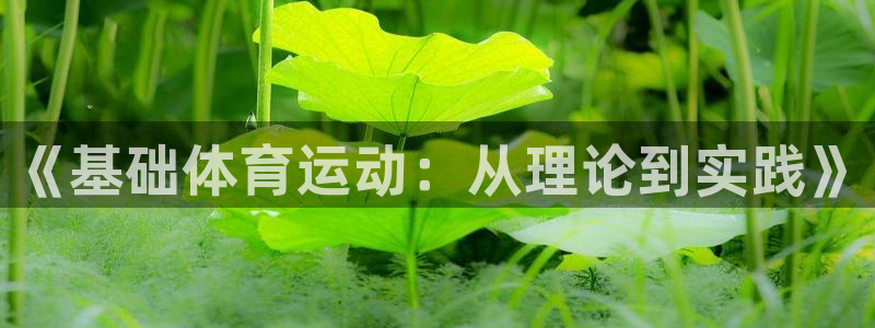 制胜体育最新版本：《基础体育运动：从理论到实践》