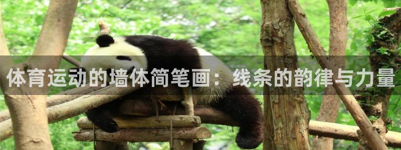 制胜体育今天最新消息：体育运动的墙体简笔画：线条的韵律与力量