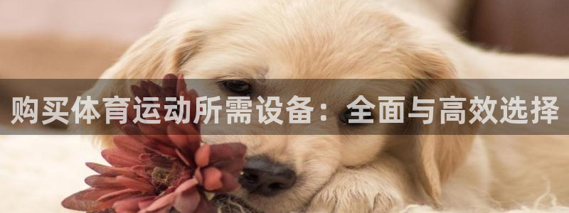 制胜体育旧版本下载：购买体育运动所需设备：全面与高效选择