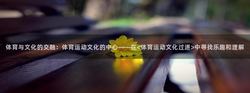 制胜体育在线下载：体育与文化的交融：体育运动文化的中心——在<体育运动文化过道>中寻找乐趣和理解