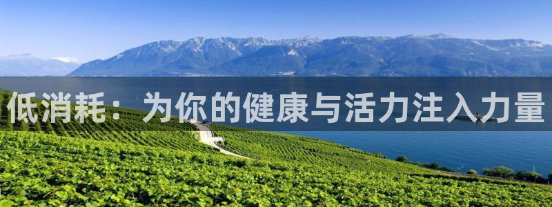 制胜体育足球体育：低消耗：为你的健康与活力注入力量
