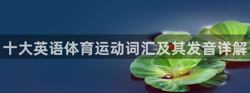 制胜体育官网app下载：十大英语体育运动词汇及其发音详解