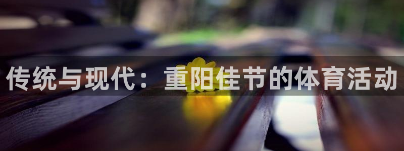 制胜体育老版本：传统与现代：重阳佳节的体育活动